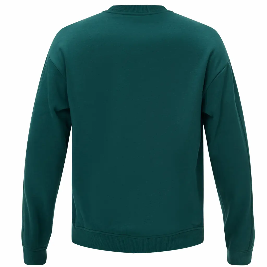 achterkant-crew-retro-groen.webp