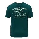 Todavida t-shirt retro groen